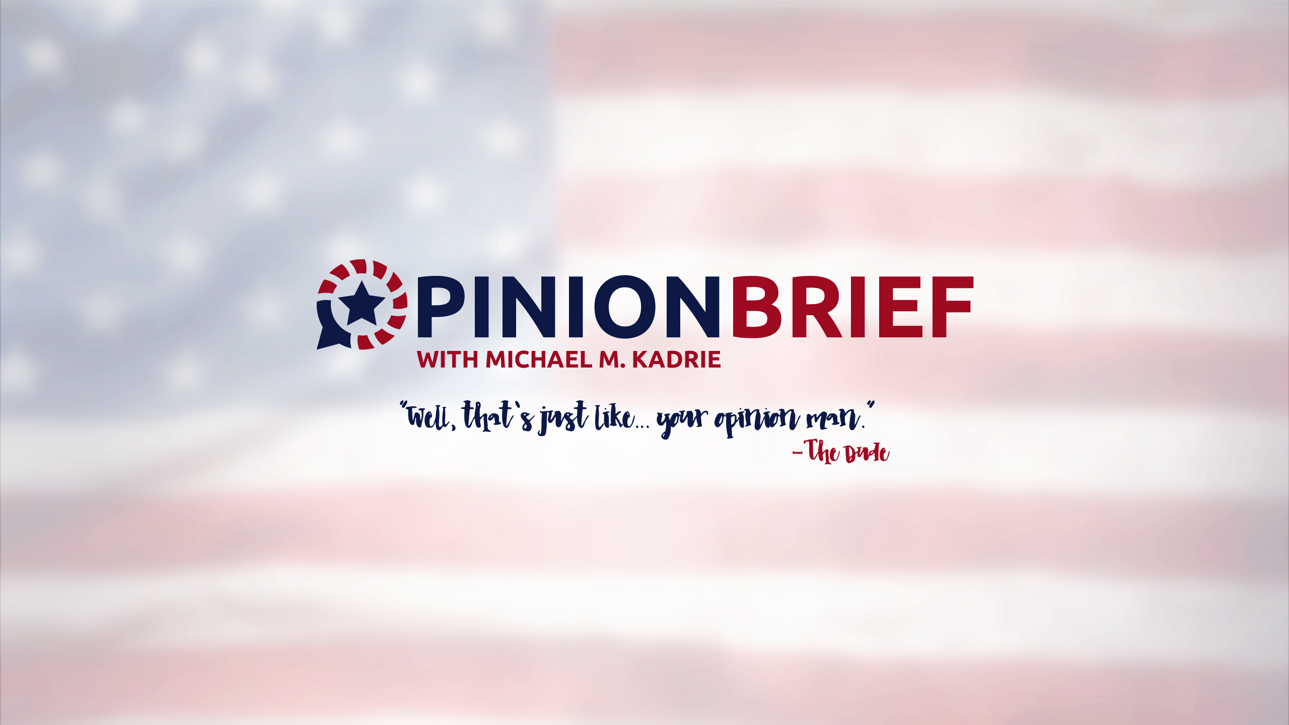 Opinion Brief